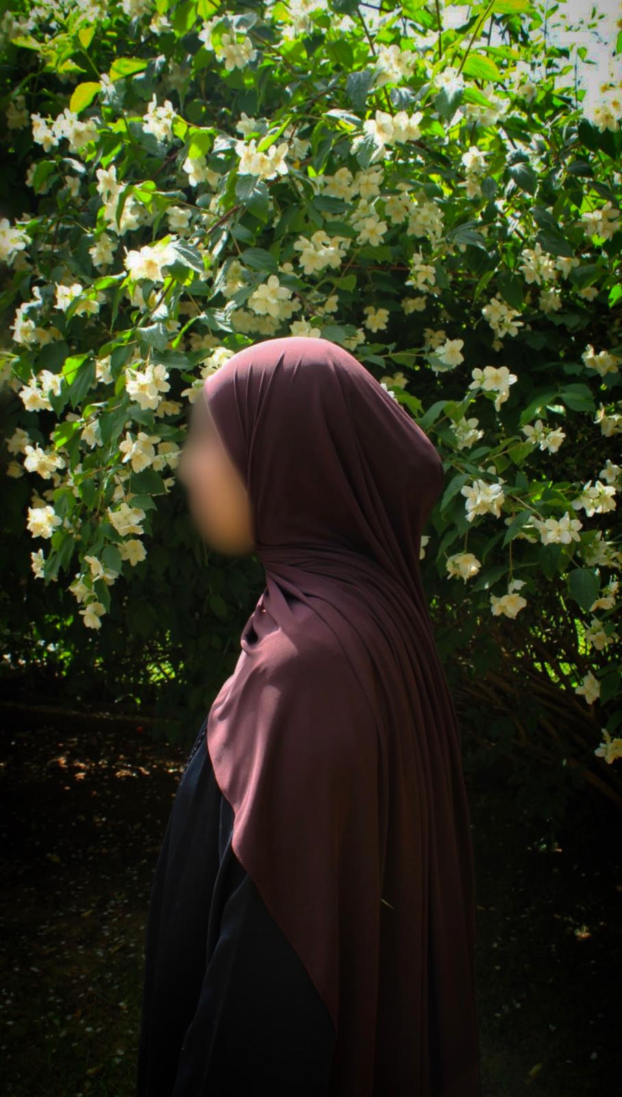 Hijab jersey premium de luxe- Marron